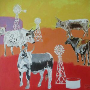 Nguni Cattle and Windmills