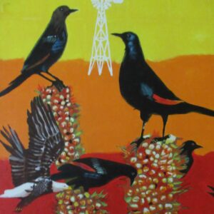 Red-winged-starlings
