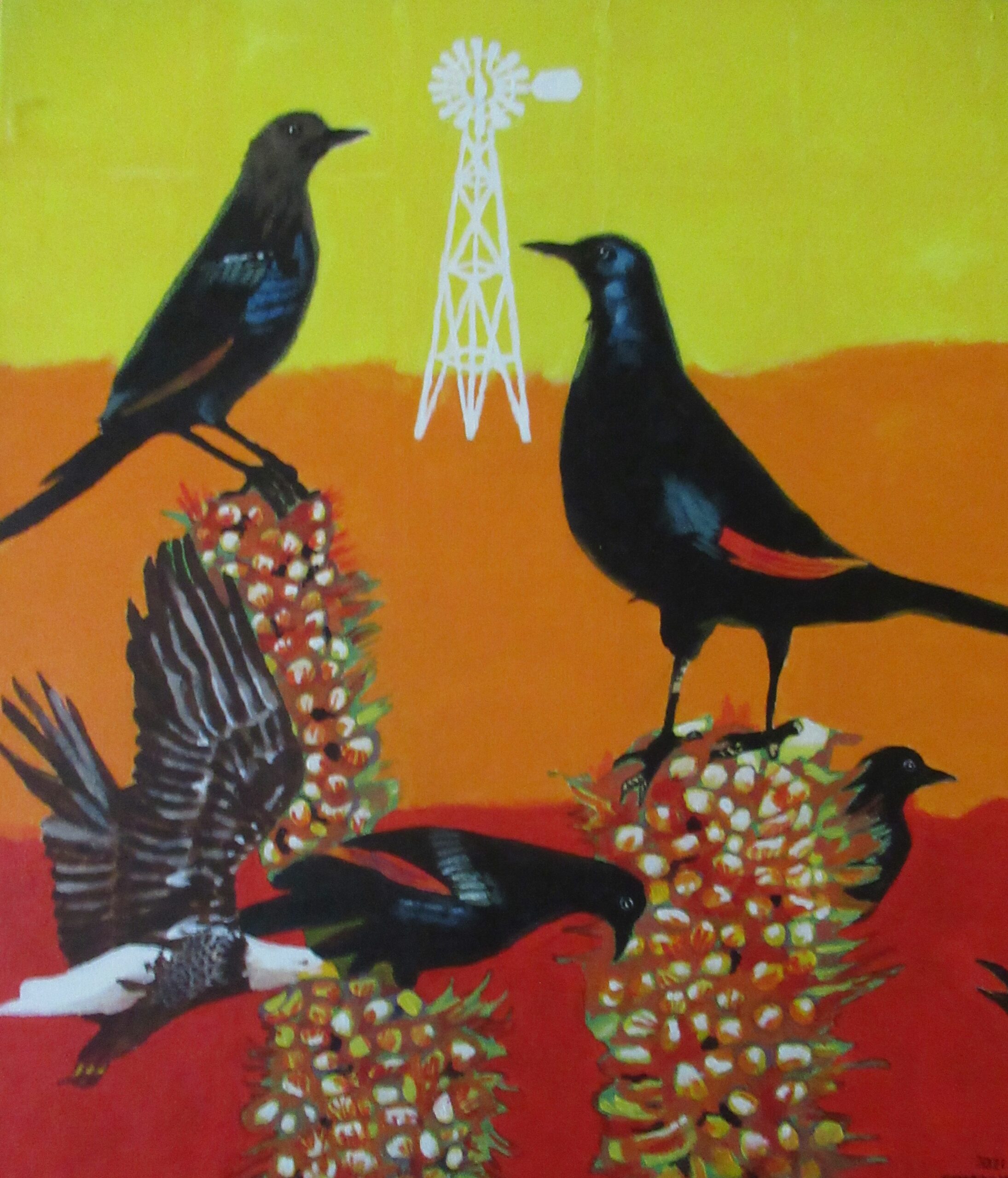 Red-winged-starlings